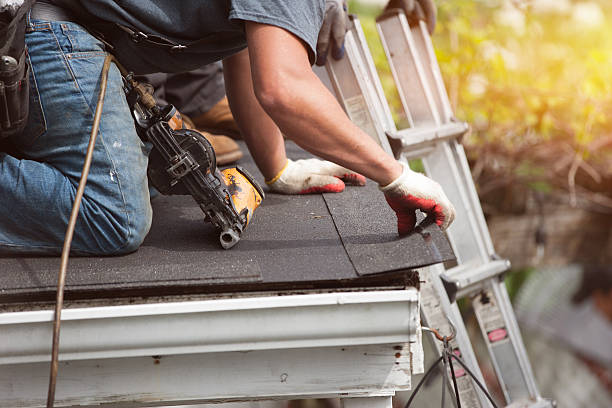 Best Roof Maintenance Services  in Diamond Ridge, AK