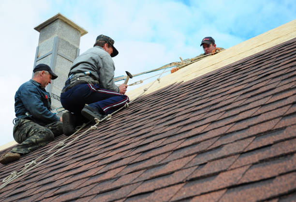 Best Roof Waterproofing Services  in Diamond Ridge, AK